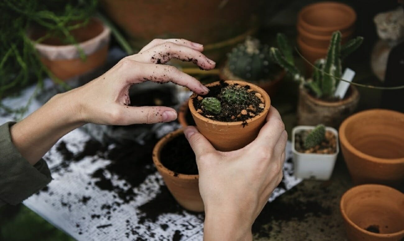 ways humans interact with environment