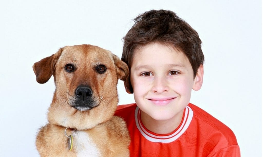7-Year-Old Saves Cats And Dogs From Euthanasia