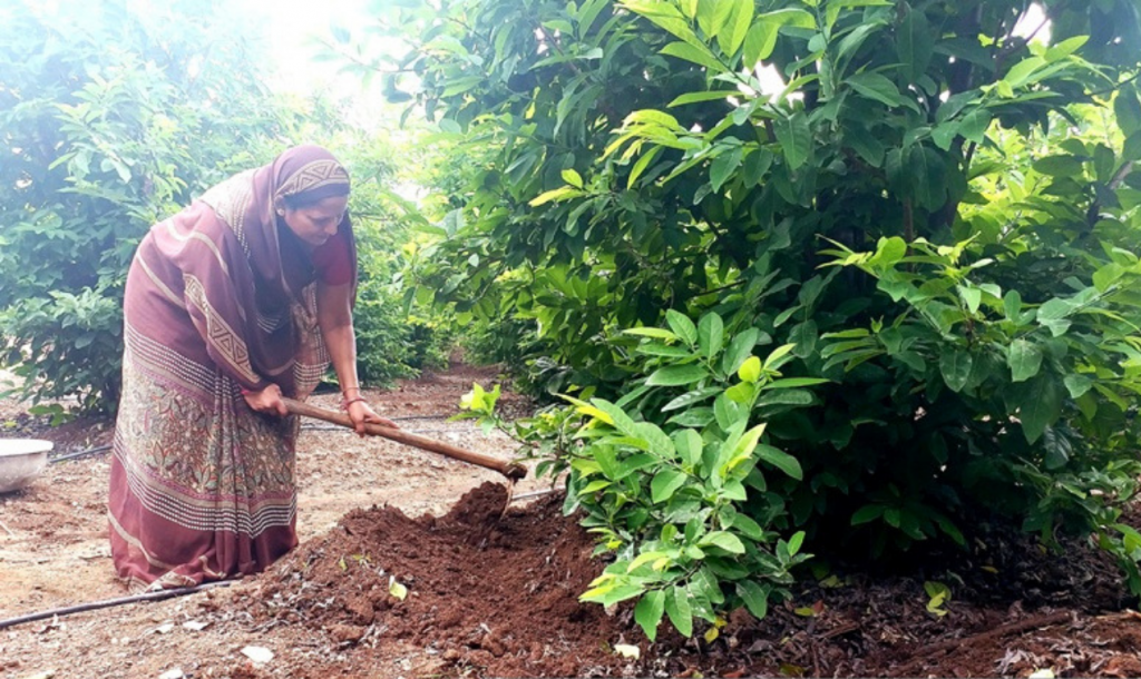 ऑर्गेनिक खेती में ललिता ने रचा इतिहास