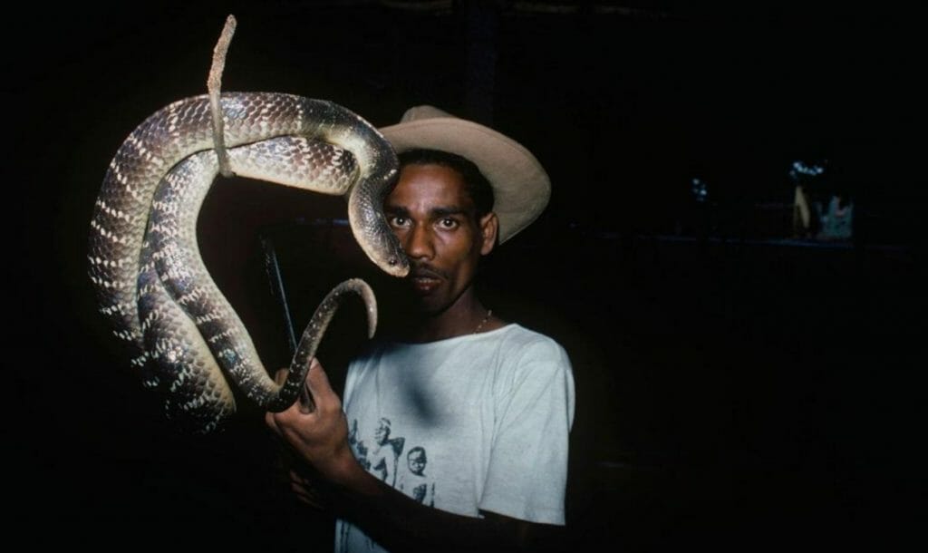 Fighting Poison: A Tribe Revolutionizes Snake Bite Treatment