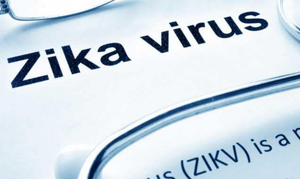 IIT Scientist Deciphers The Zika Virus