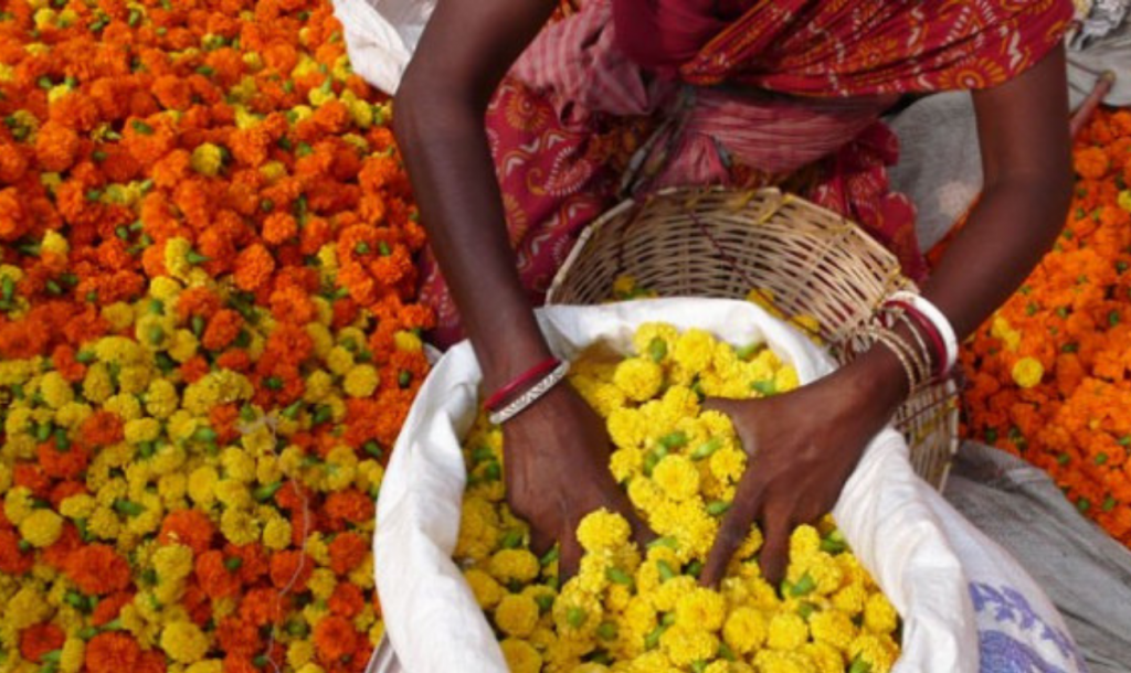 THE GIRL REUSING FLORAL WASTE PRODUCTIVELY