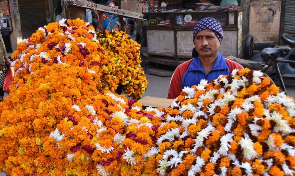 फूलों के कचरे से बनेगा तेल