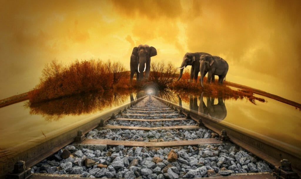 अब हाथियों को नहीं होगा रेलवे ट्रैक से खतरा