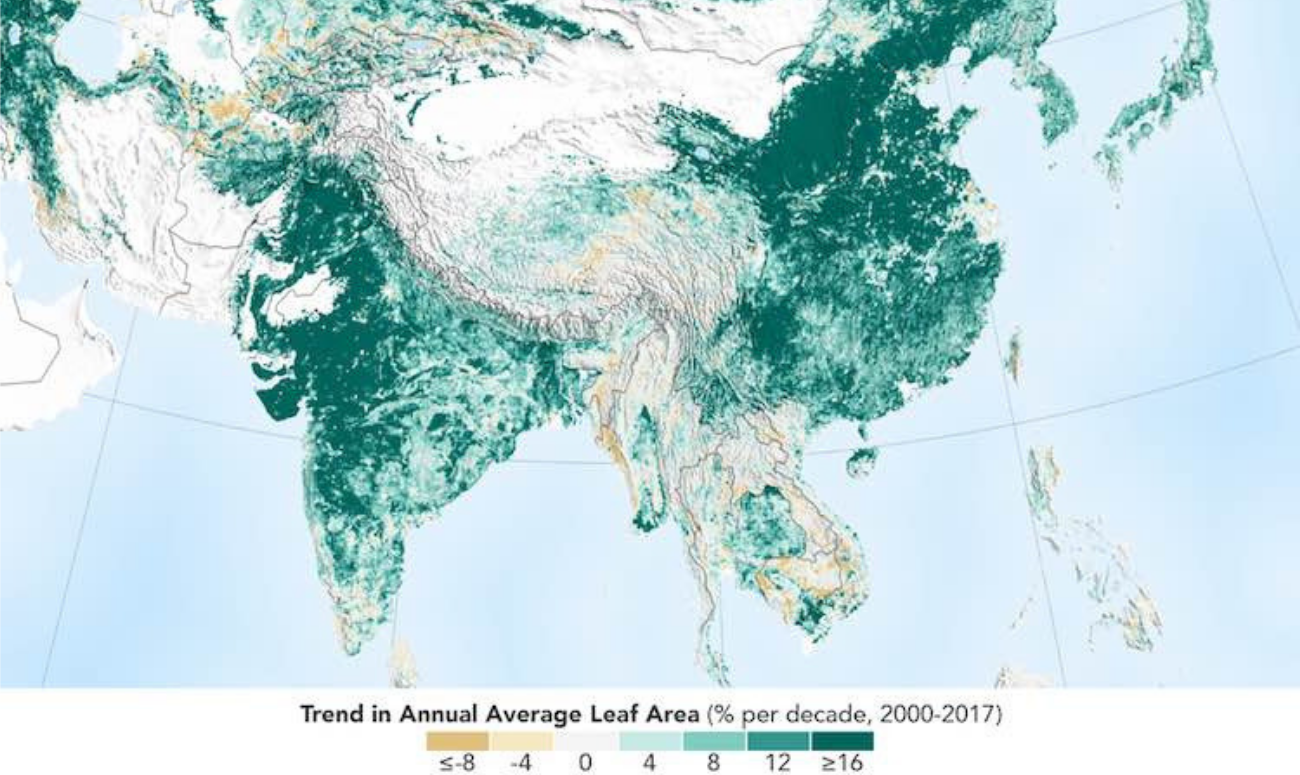 Afforestation Projects In India And China Leads To A Greener World