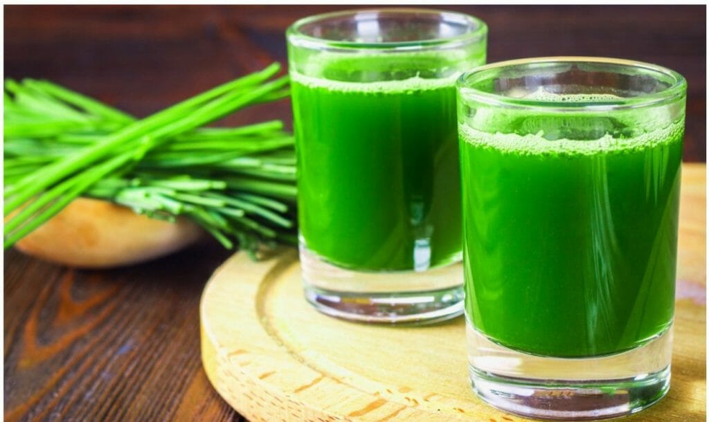 wheatgrass