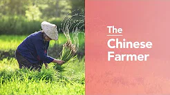The Chinese Farmer