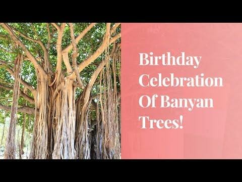 Birthday Celebration Of Banyan Trees!