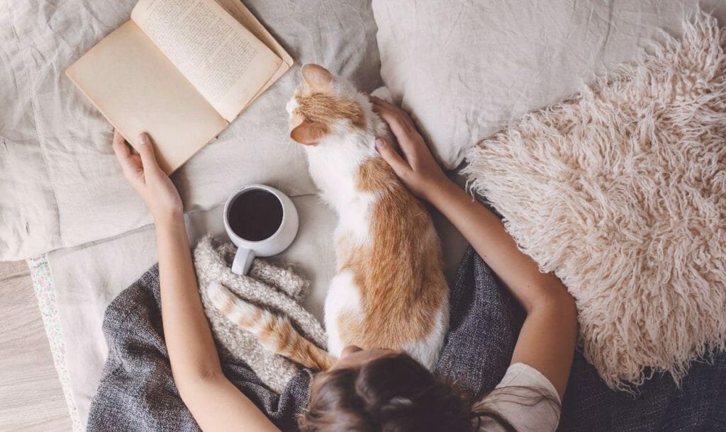 8 Must-Read Books When You’re Having A Bad Day