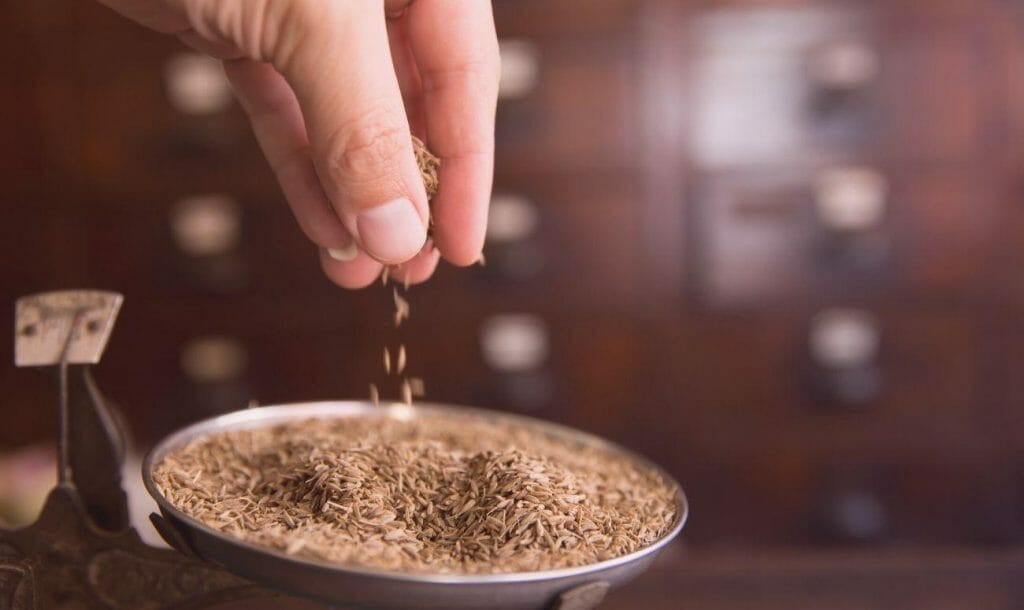 Cumin, Why This Spice Is Indeed A Super Spice?