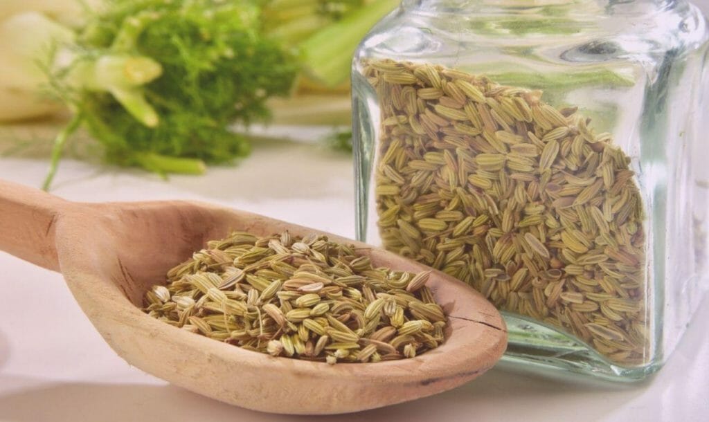 Fennel Seeds, More Than Just A Mouth Freshener