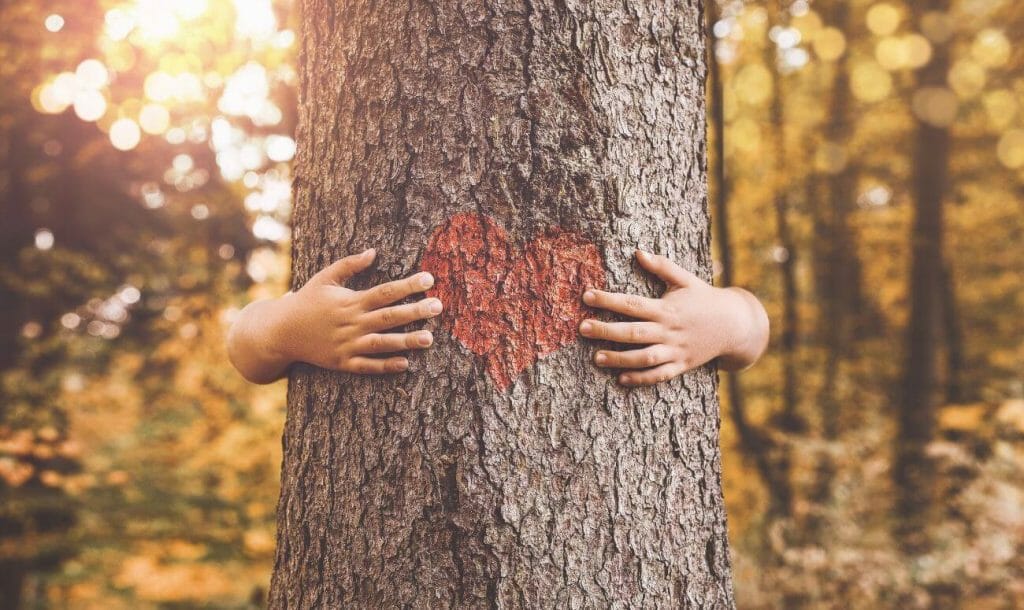 हमारी सांसों के लिए ज़रूरी है पेड़ों का जीवन