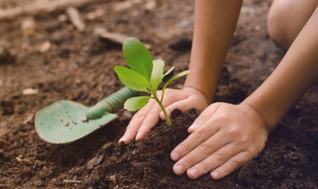 These Nagaland School Kids Grow Their Own Organic Mid-Day Meals