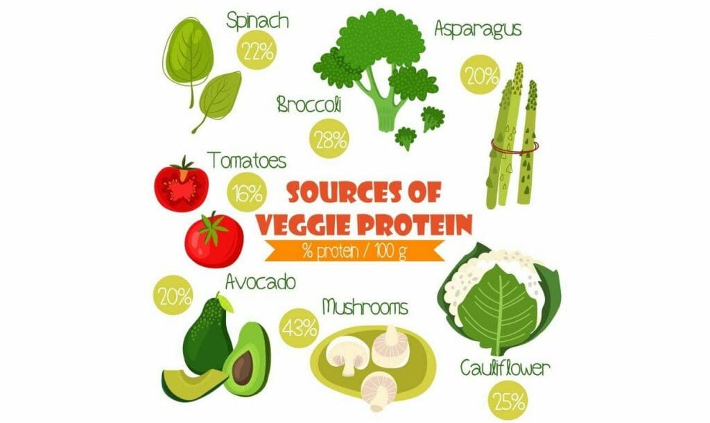 Sources of protein from vegetarian foods