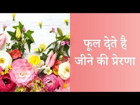 फूल देते है जीने की प्रेरणा