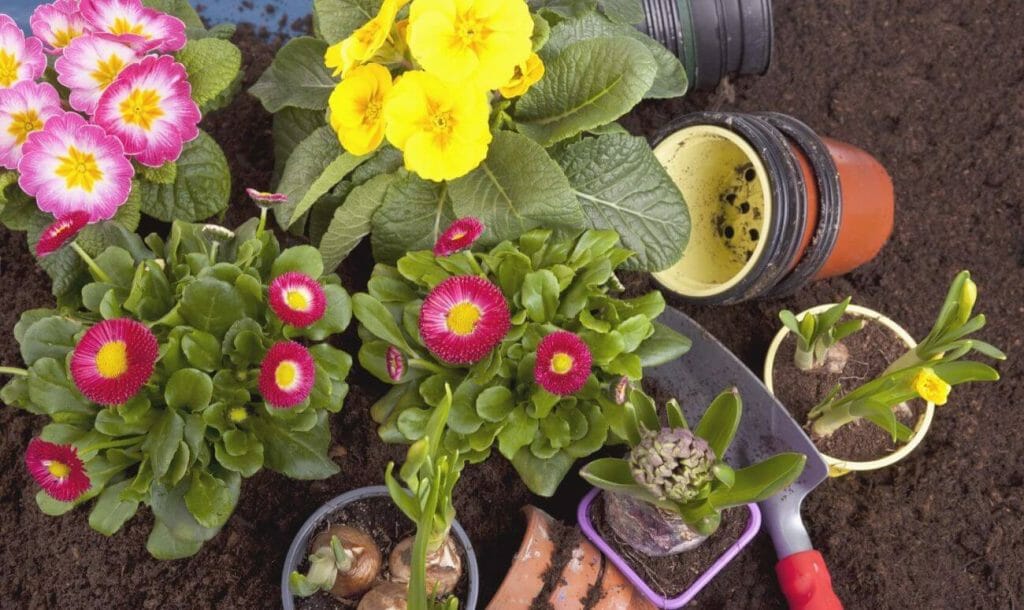 रसोई के कचरे से बनाये पौधों के लिए खाद