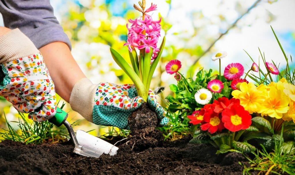 5 Things To Keep In Mind When You Start Your Own Garden