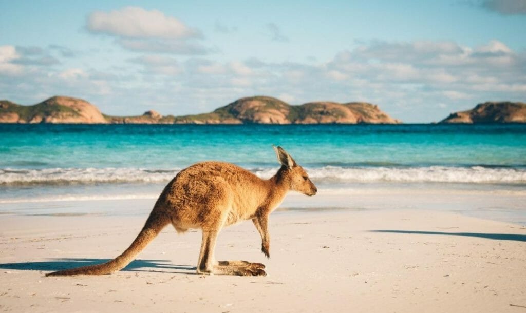 Why Australia Should Be At The Top Of Your Bucket List