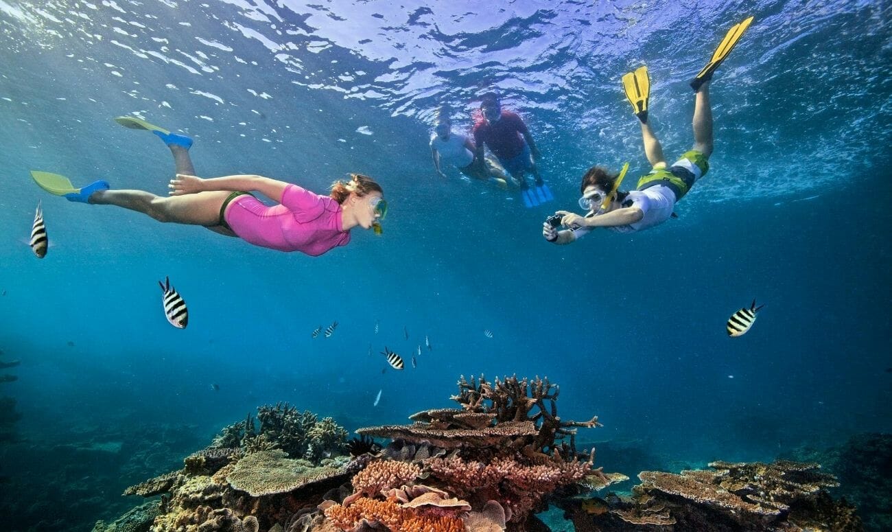 The Great Barrier Reef 