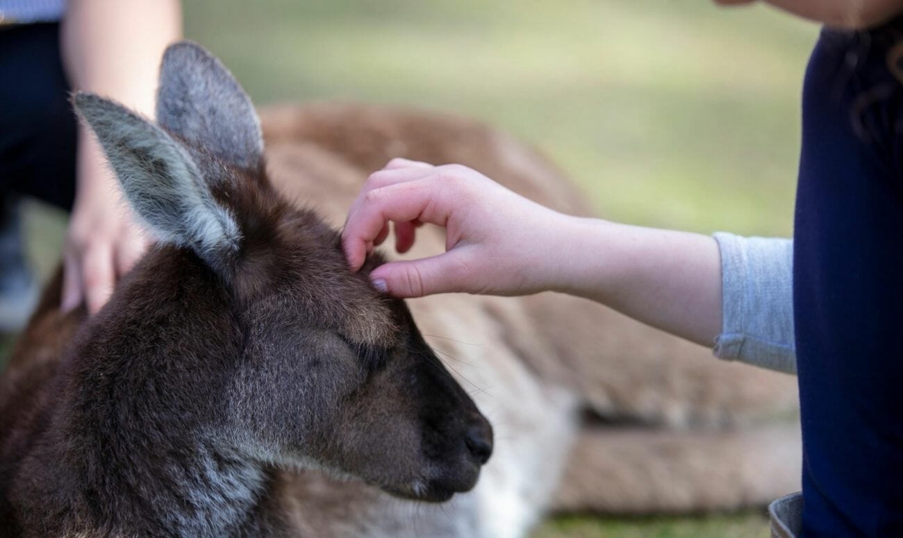 The Caversham Wildlife Park