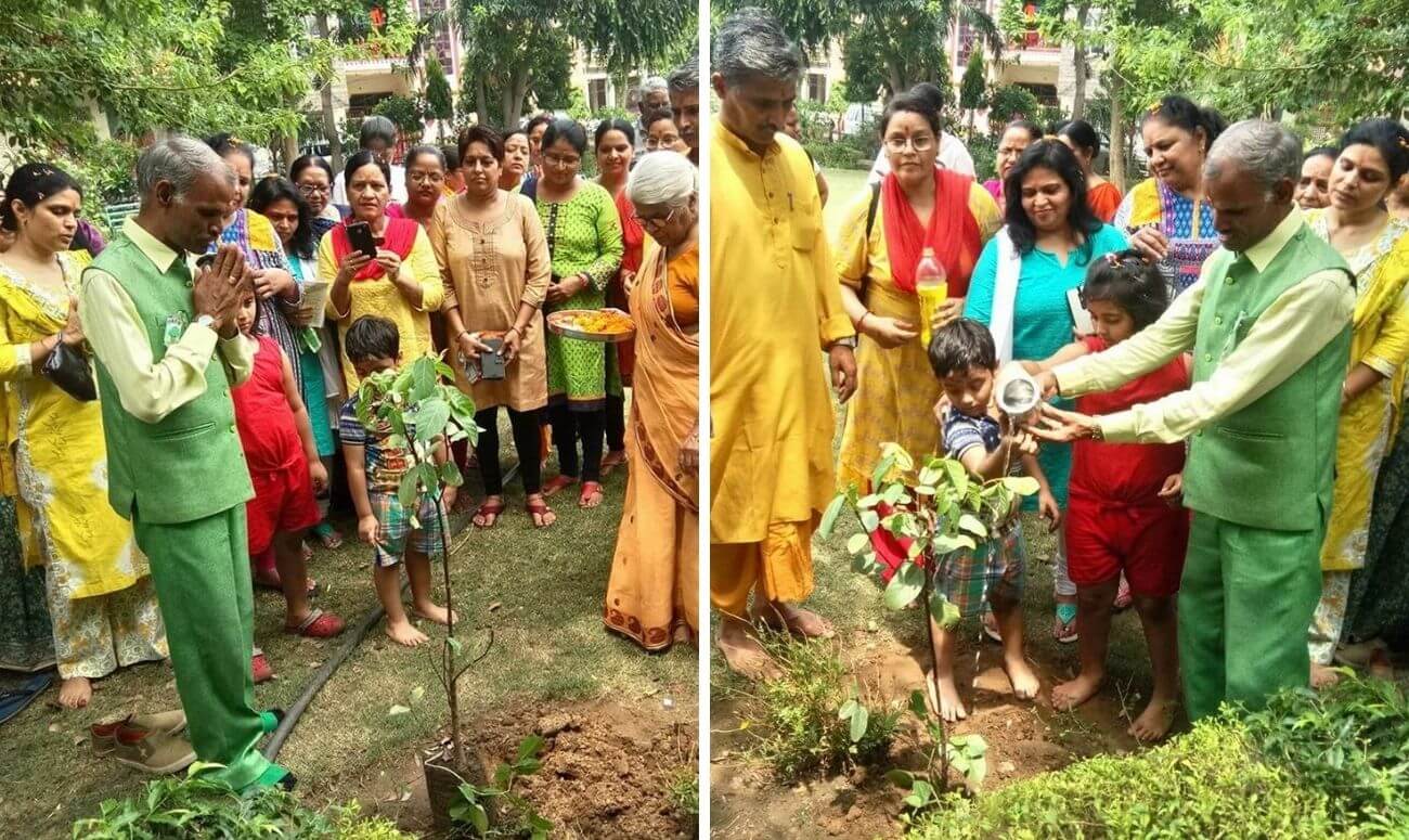पेड़ लगाओं , हरियाली लाओं