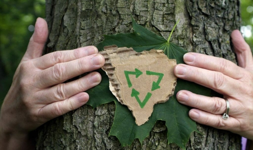ईको फ्रेंडली कागज – वनों की कटाई रोकने में करे मदद