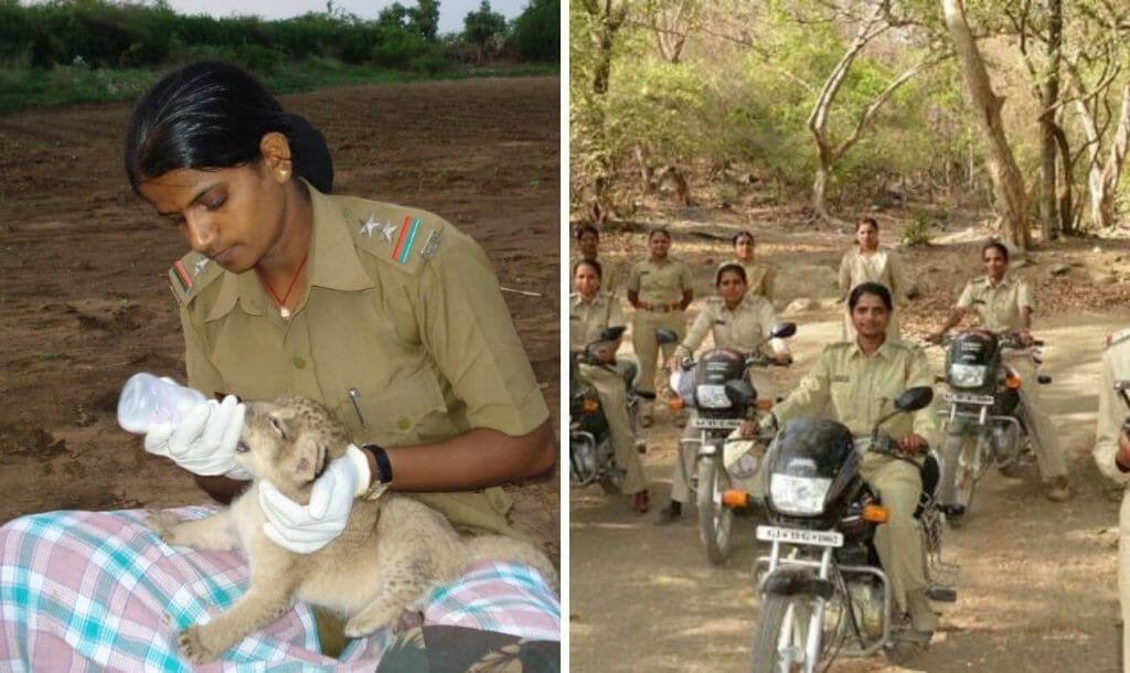 रसीला जानवरों की देखभाल करती हुई