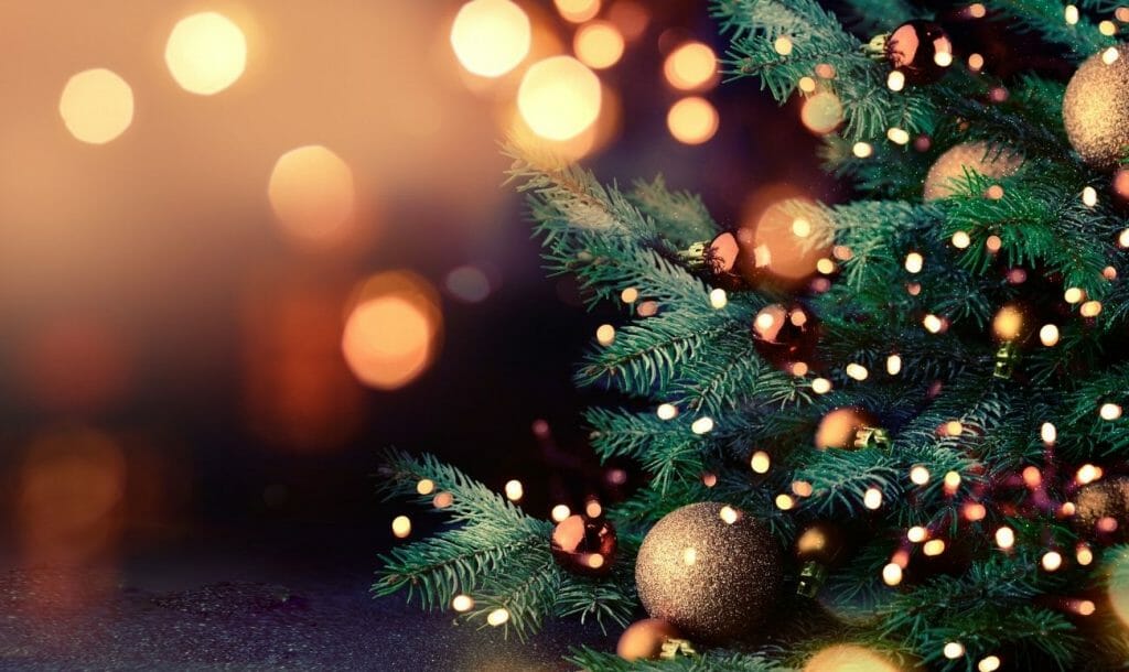 Did You Know That Christmas Is A Celebration Of The Sun ‘Winning’ Over The Darkness Of Winter?