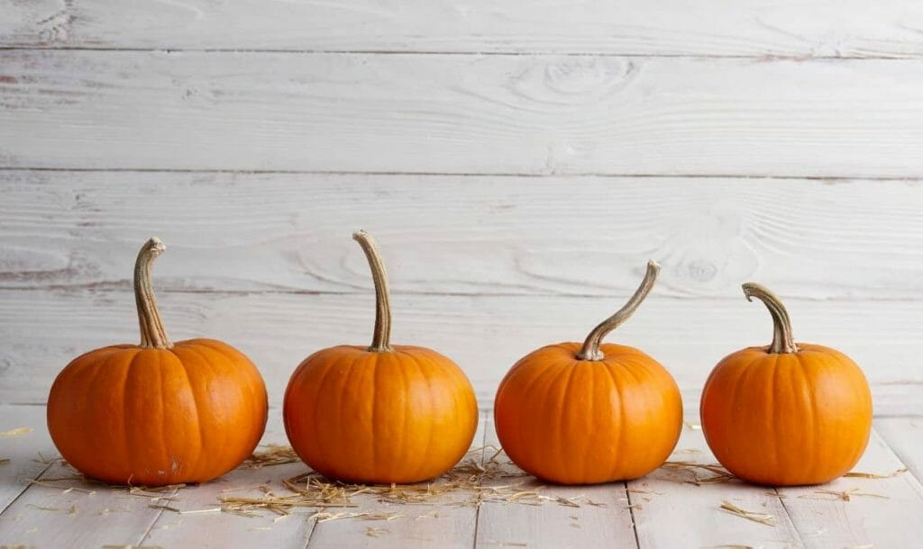 Must-Try 5 Pumpkin Recipes to Squash Away Infections