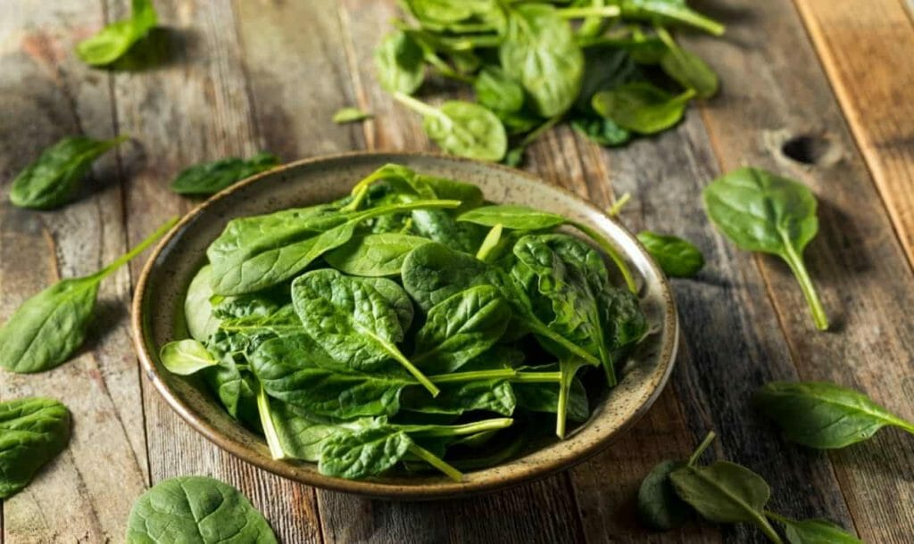 Include More Greens In Your Diet With These 5 Nutritious Spinach Recipes