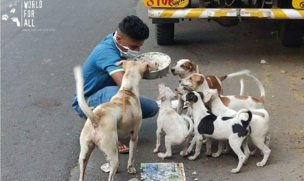 बेज़ुबान जानवरों की निस्वार्थ सेवा कर रही है मुम्बई की एनजीओ