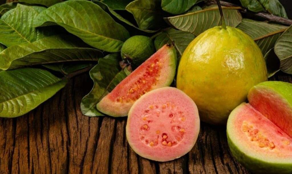 5 Easy Recipes Using The Tropical Fruit Guava