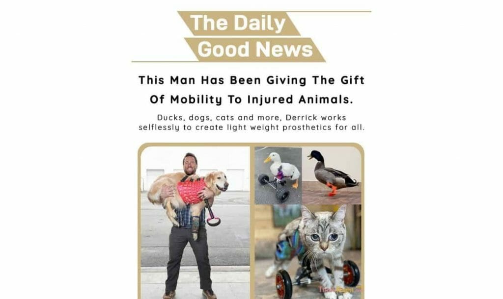 Positive news 20th July 2021 - This Man Has Been Giving The Gift Of Mobility To Injured Animals 