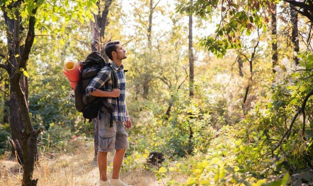 प्रकृति के साथ जुड़ना क्यों है ज़रूरी और कैसे करें उसकी सराहना