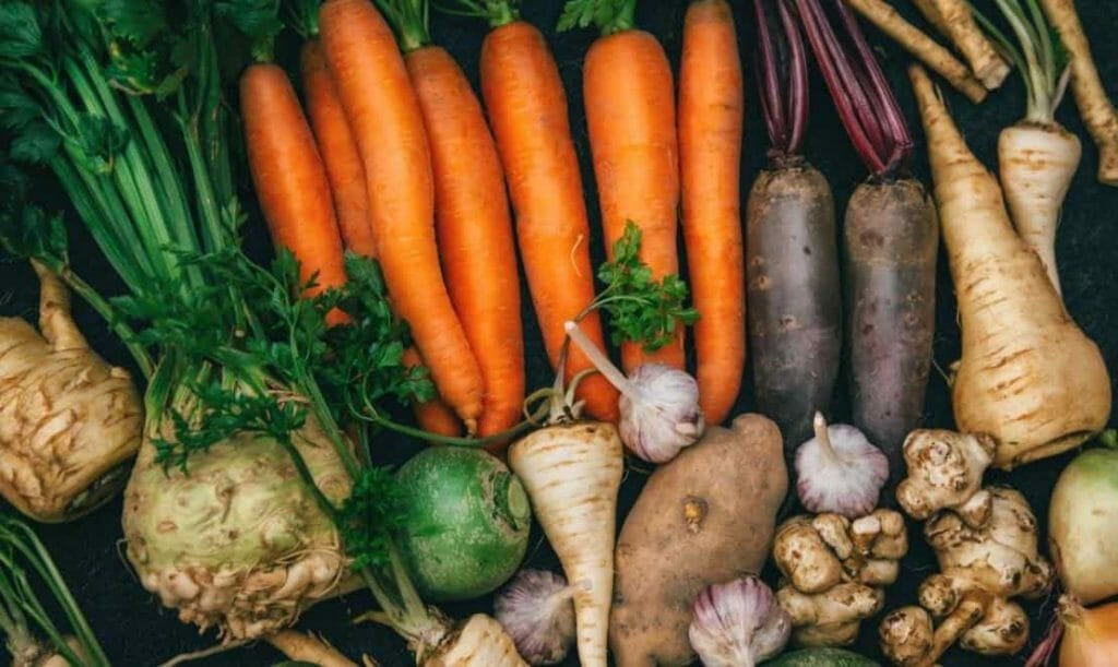Root Vegetables: The Underground Treasures of Mother Nature