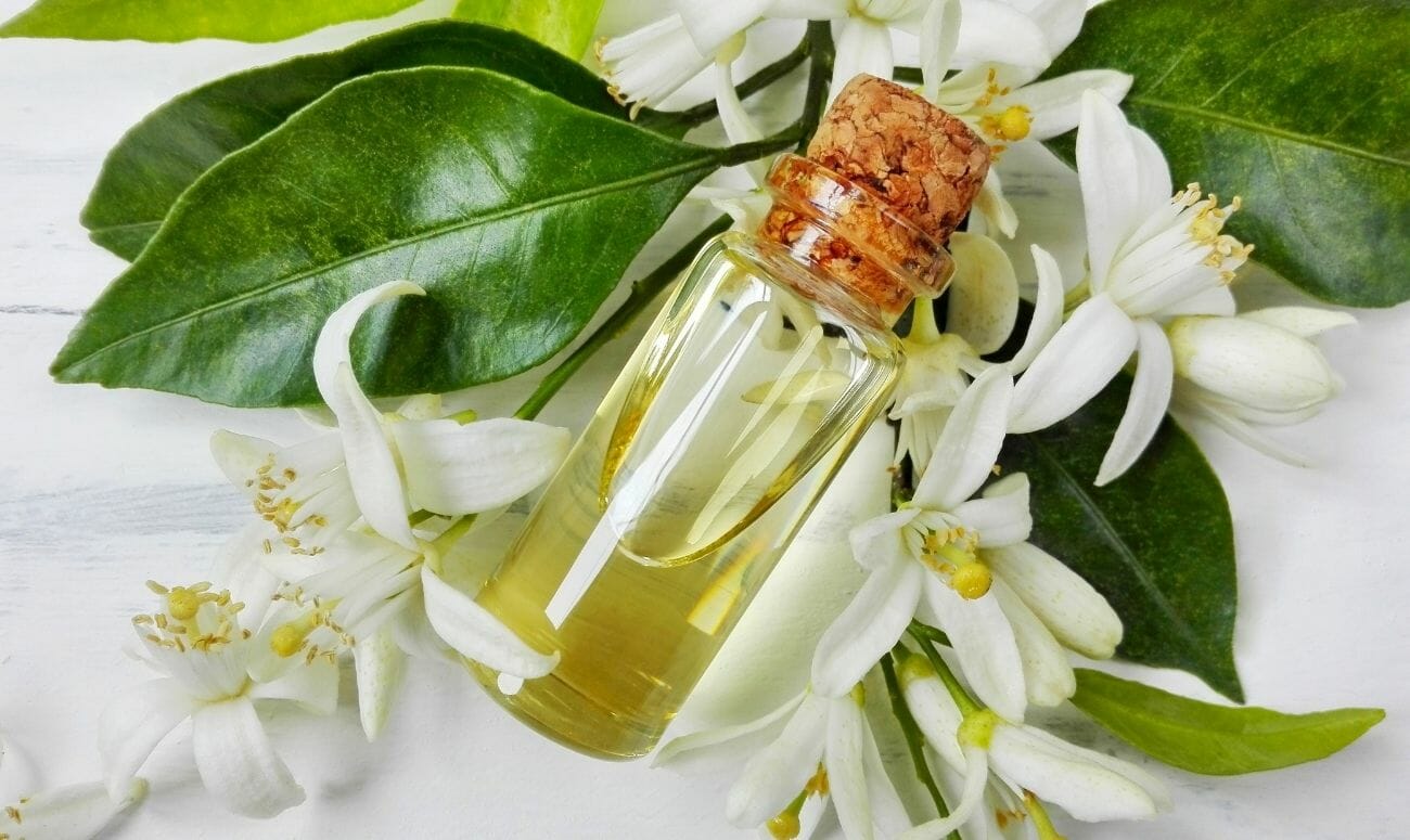 neroli
neroli essential oil
essential oil
fragrance
anxiety
stress