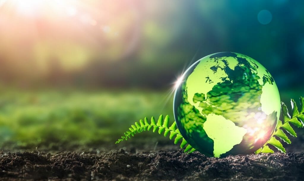 Giving Back To The Planet This International Earth Day