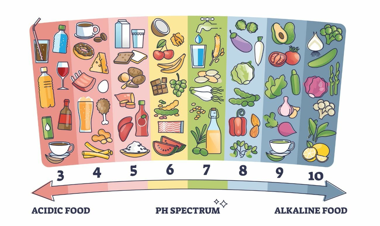 balancing-the-bodys-ph-level-through-food-feature-image