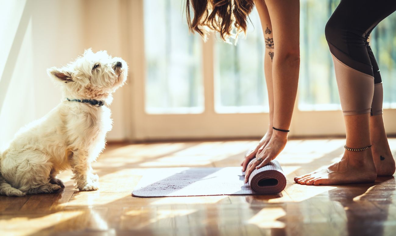 yoga-and-sunshine-seasonal-depression-sad-inside-image