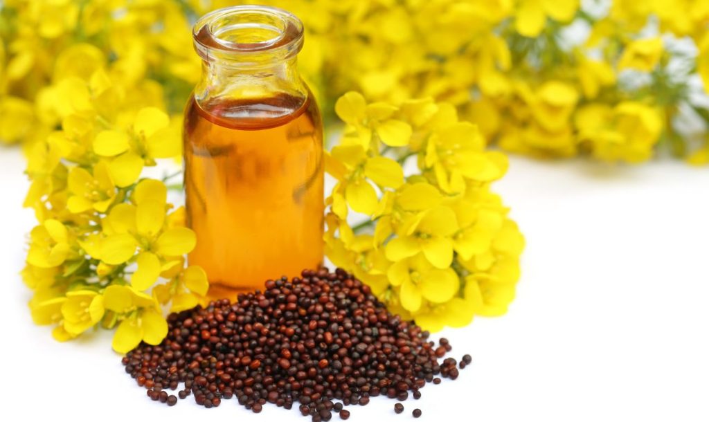Mustard Musings: How Mustard Oil Became An Essential Flavour In Bengali Food 