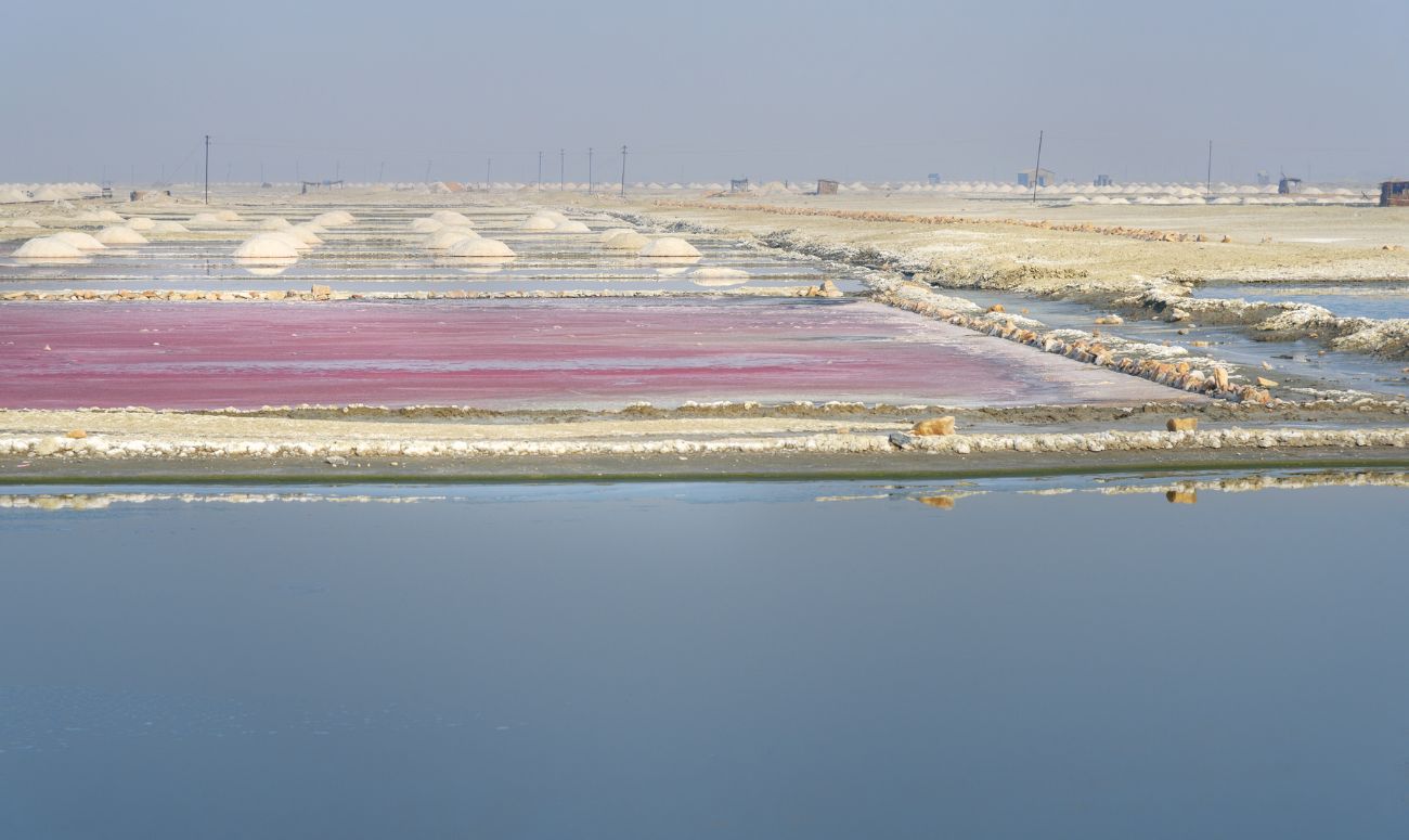 rajasthan-mindful-destination-sambhar-salt-lake-image