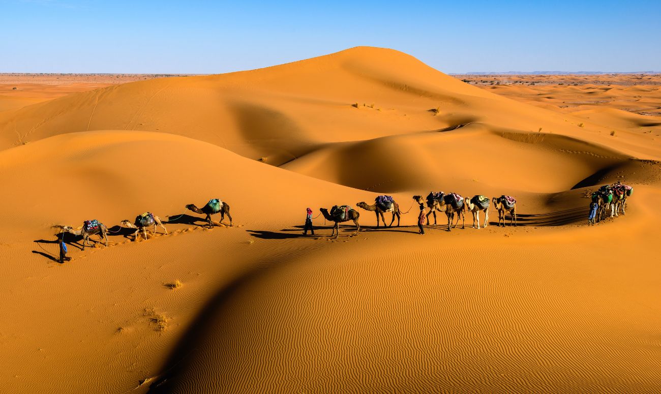 rajasthan-mindful-destination-thar-desert-image