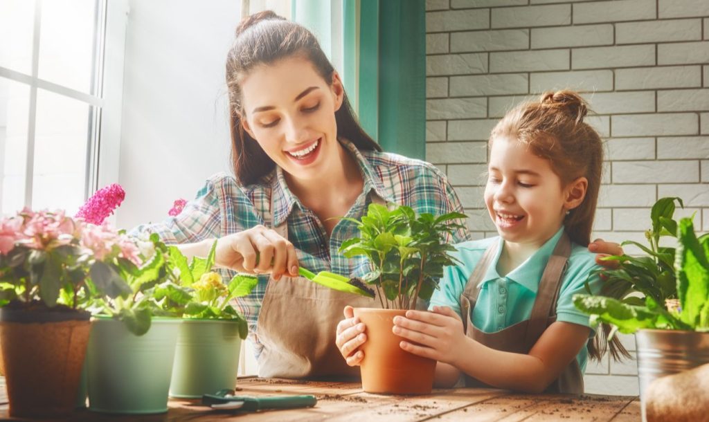 Why Starting Your Own Garden Can Significantly Improve Your Mental Health?