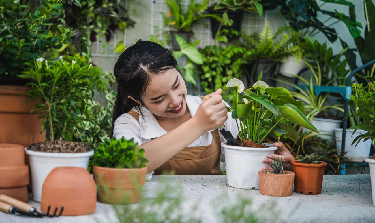 best-indoor-plants-inside-image