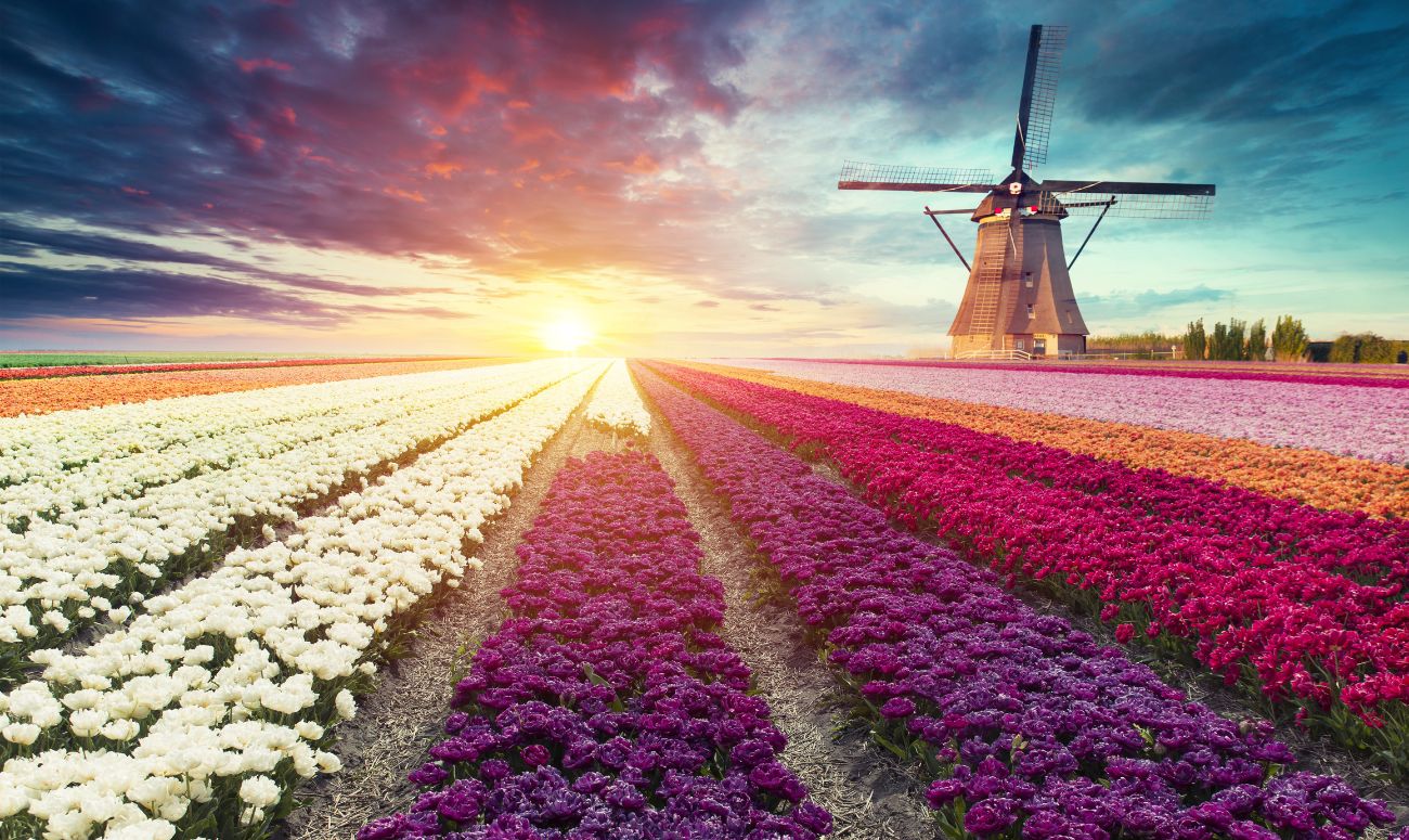 10-happiest-countries-in-the-world-netherlands-image