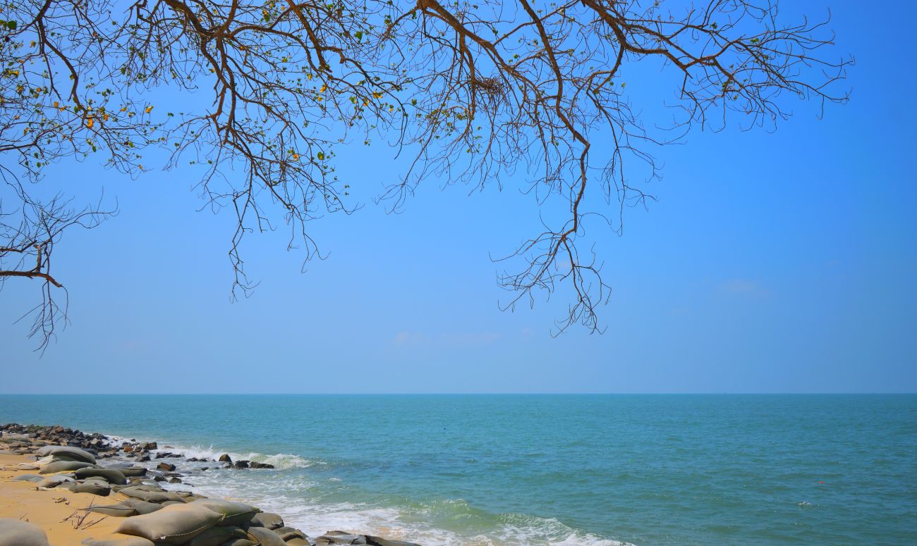 kerala-wellness-vacation-marari-beach-image