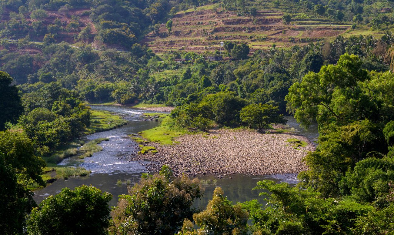 kerala-wellness-destination-silent-valley-national-park-image